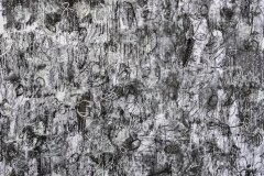 Obra 39 - Editada