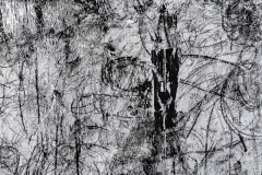 Obra 42- Detalle